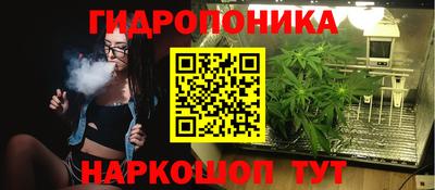 сатива Северобайкальск