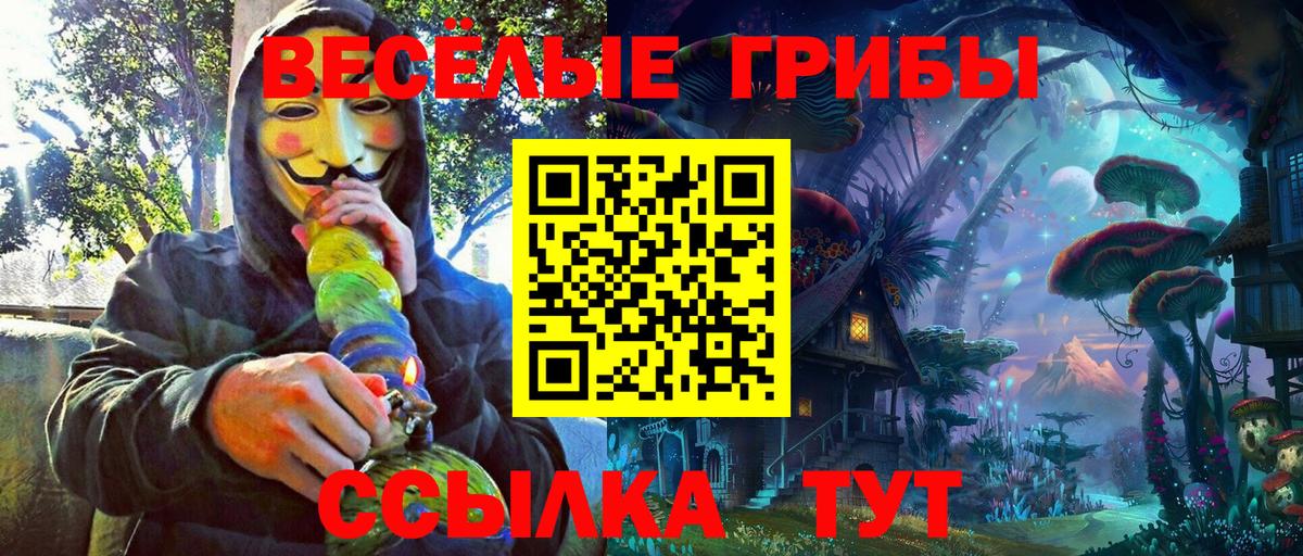 Галлюциногенные грибы Psilocybe  Вход с VPN  Павловский Посад 